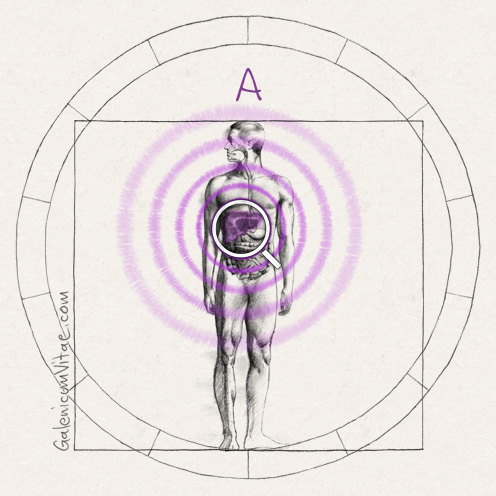 Cirrosis hepática y sus causas