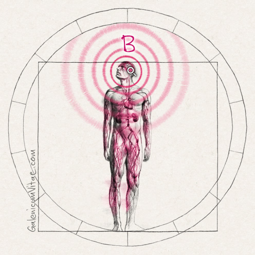 Hemorragia cerebral (“derrame”) y sus causas