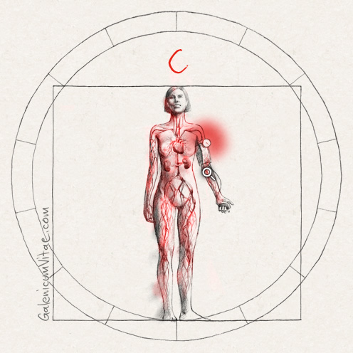 Arterial hypertension y sus causas