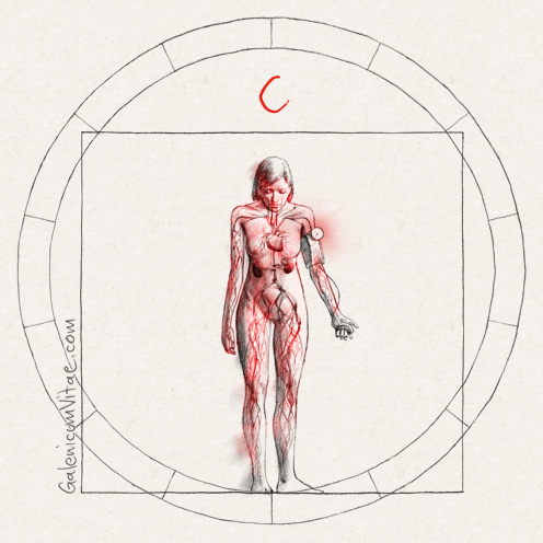 Hipotensión arterial y sus causas