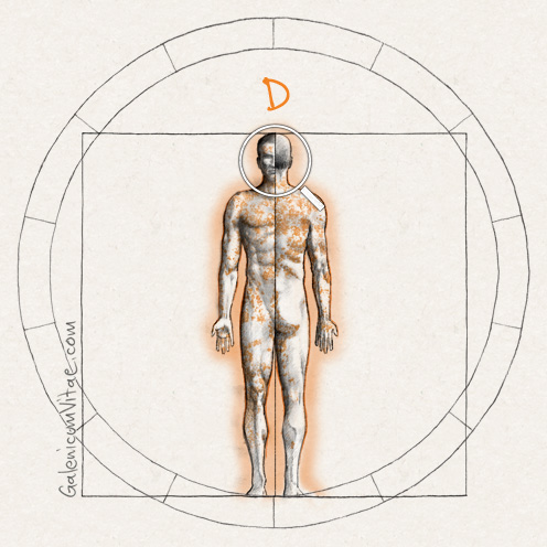 Dermatosis y sus causas