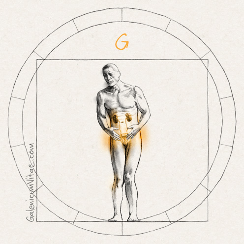 Cystitis y sus causas