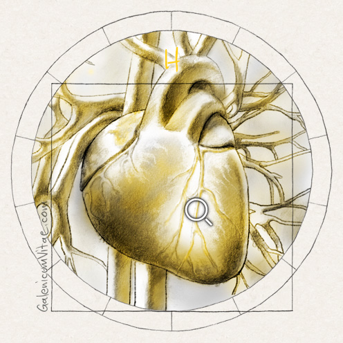 Enfermedades del corazón y sus causas