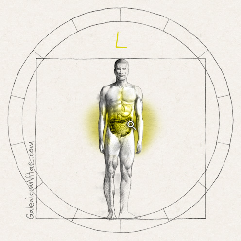 Cáncer de colon y recto y sus causas