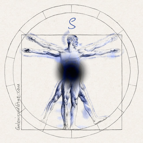 Macular degeneration y sus causas
