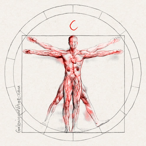Cardiovascular y sus causas