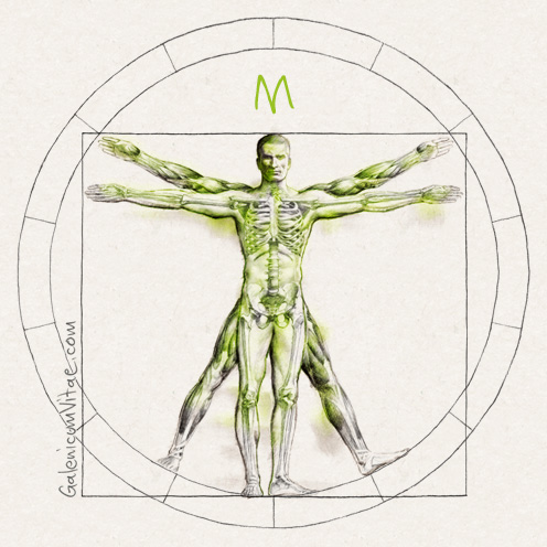 Musculoesquelético y sus causas