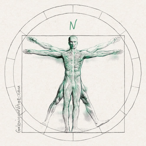 Salud mental y sistema nervioso y sus causas